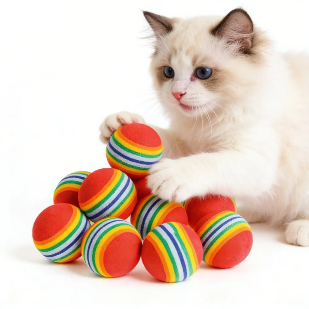 10PCS Rainbow Cat T…