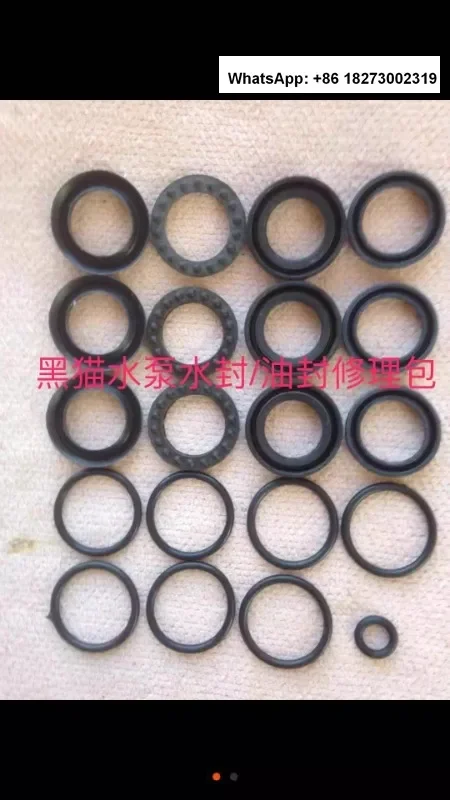 Pump Truck Accessories Black Cat Shenlong Water Pump Water Seal Oil Seal Repair Kit Accessories