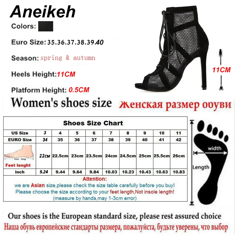 Aneikeh 2024 Fashion Basic Dancing Sandals Sexy Hollow Out Mesh Lace-Up Cross-tied ANKLE BootsWomen High Heels Pumps Party Shoes