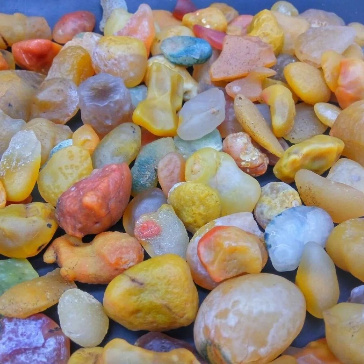 Artisan Stone Palm Stone Candy Agate,Glass Vial Display, 10-15mm Unpolished, Rock Collection.Candy Agate