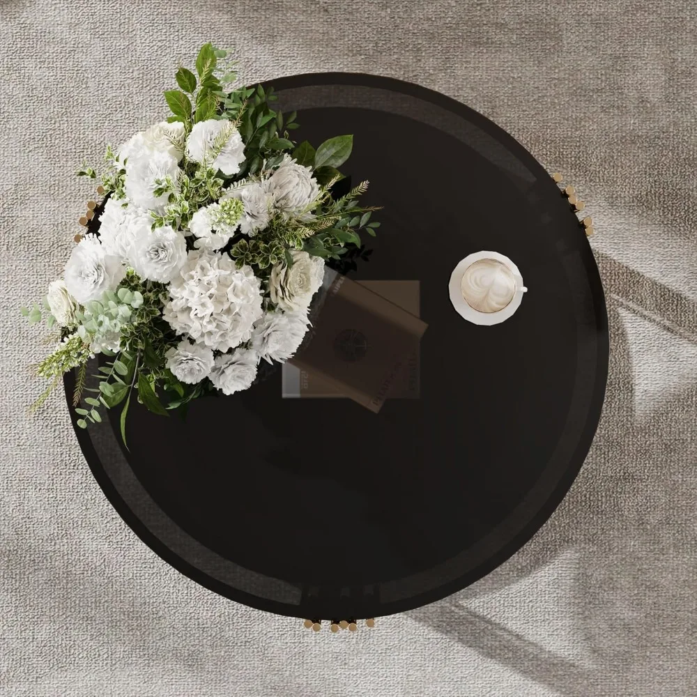 طاولة قهوة بمرآة، معدن غير متماثل، قاعدة طبلة معدنية دائرية، رف سفلي ذهبي حديث، أسود #6