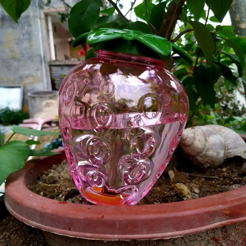 Automatic watering ball flower feeding ball Transparent cute shape irrigation device suitable for plant and flower watering