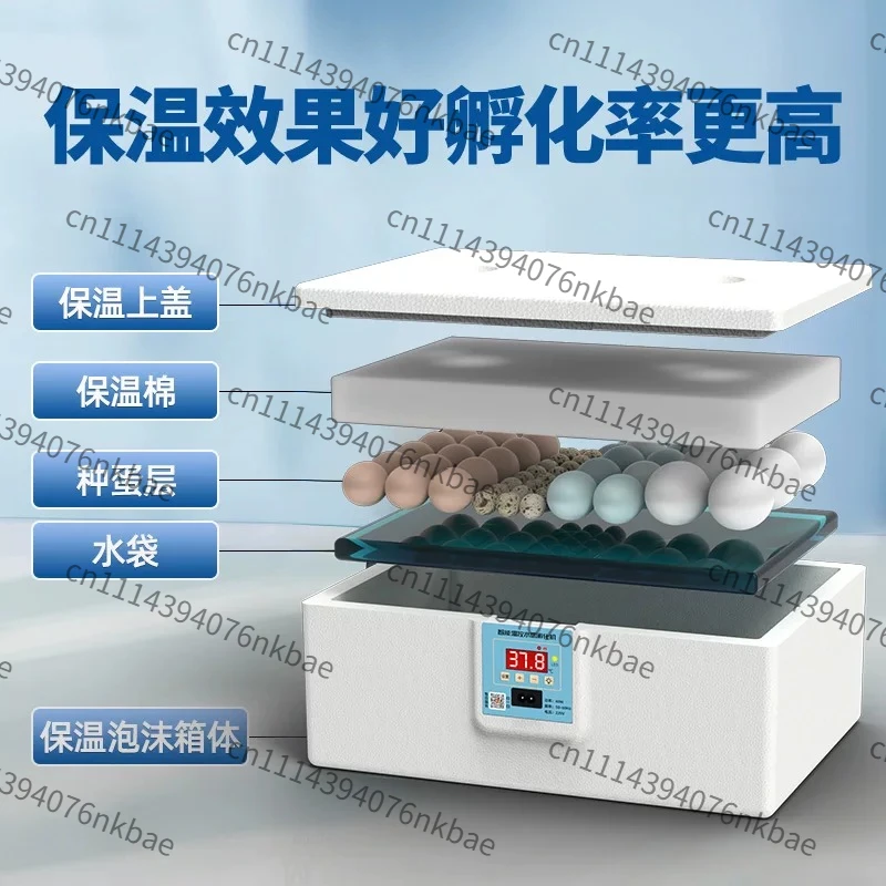 Water Bed Incubator Small Household Mini Incubator Automatic Intelligent Bird Egg Rutin Chicken Incubator