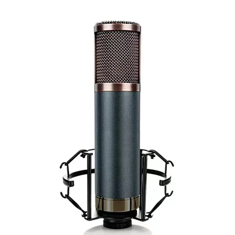 

High-end TF22 48V Professional Studio Recording Sing Live Broadcast Condenser Microphone With 48v Phantom Power