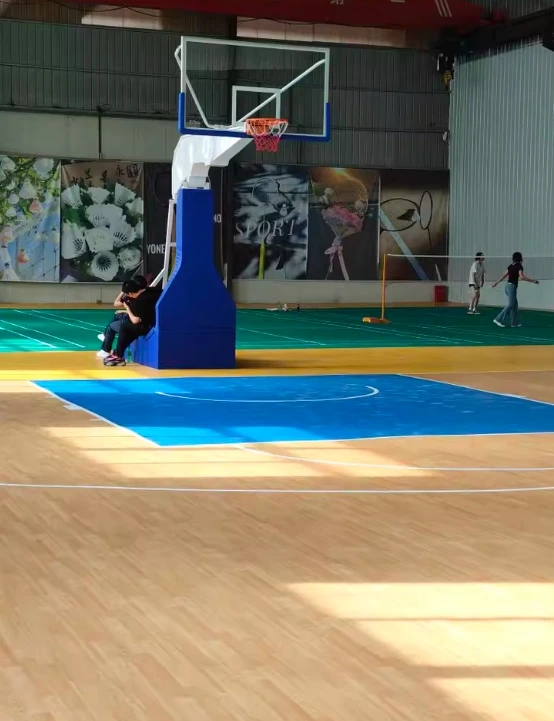 Standard Portable Basketball Goal - Professional Outdoor Mobile System with Hydraulic Adjustmentpromote sales