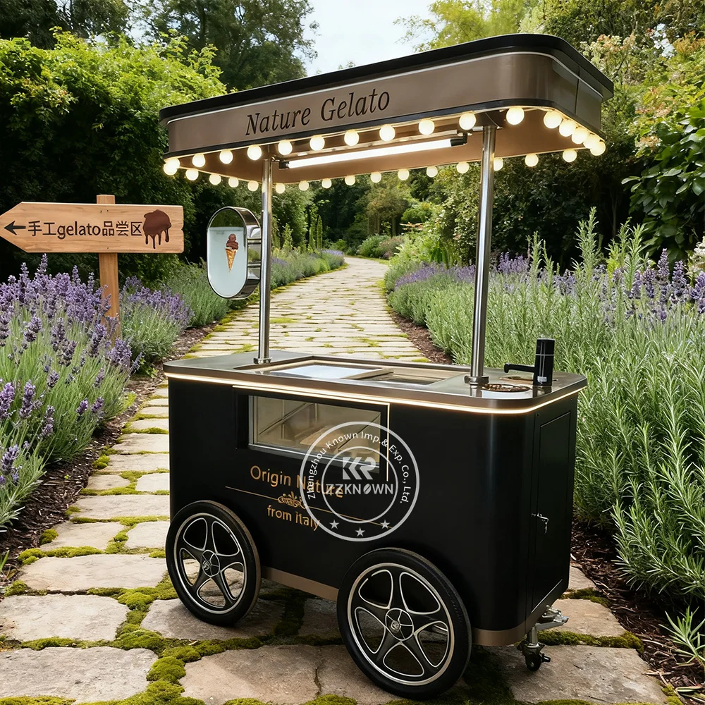 

Mobile Food Cart with LED Lights Ice Cream Push Cart Ice Cream Freezer Cabinet Food Trolley Cart Ice Cream Kiosk
