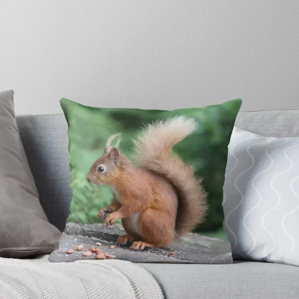 Red Squirrel Throw Pillow luxury home accessories home decor items Pillowcases Bed Cushions pillow