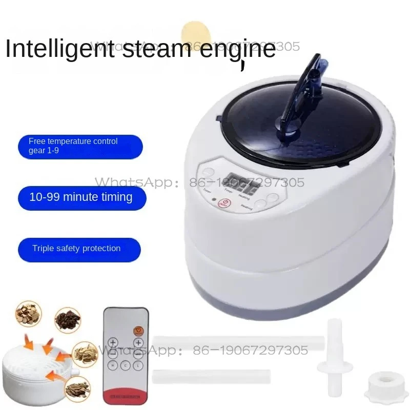 Steam Generator 220V/110V EU US Plug 1000W Upgrade Capacity 2L Home Steamer Pot for Sauna Water Vapor