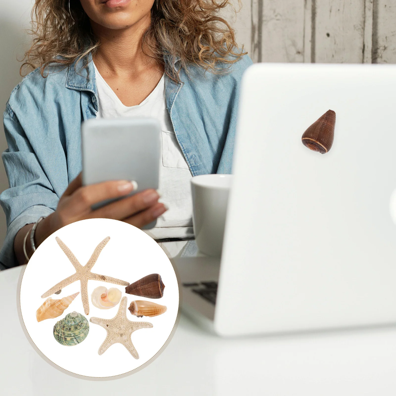 

7pcs Seashell Refrigerator Magnets Decorative Fridge Stickers For Home Office School Blackboard Whiteboard Washing