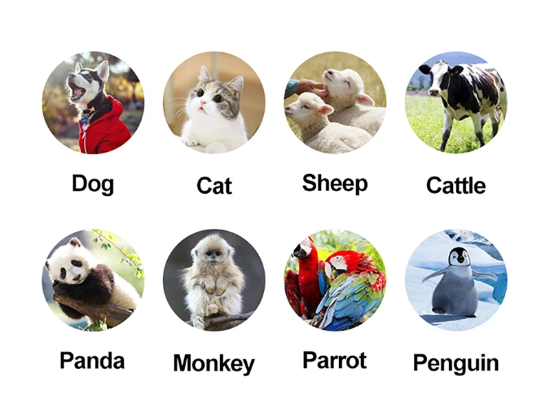 Portable RFID 11784/5 FDX-B & ID64 Animal Tag Microchip Reader Pet Dog Cat Fish ID Chip Scanner 134.2khz For Glass Tag Ear Tag