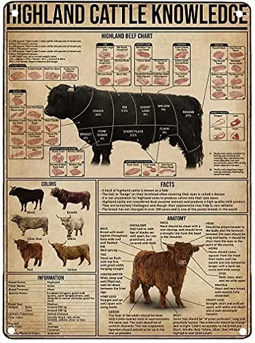 

Highland знания о крупном рогатого скота, ретро металлический жестяной знак Highland и говядины, печать плаката, развлечения, бара, ресторана, кухни