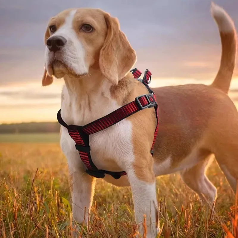 

Dog Leash Reflective Safety Chest Straps Adjustable Dog Walking Leashes Comfortable Portable Dog Accessories Pet Supplies