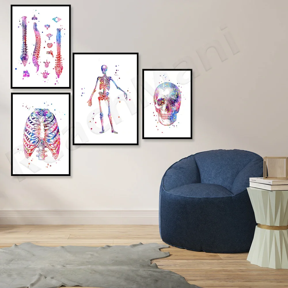 Ensemble d'impression d'anatomie du Squelette de medical art watercolor skull thoracic spine clinic wall decoration orthopedic d