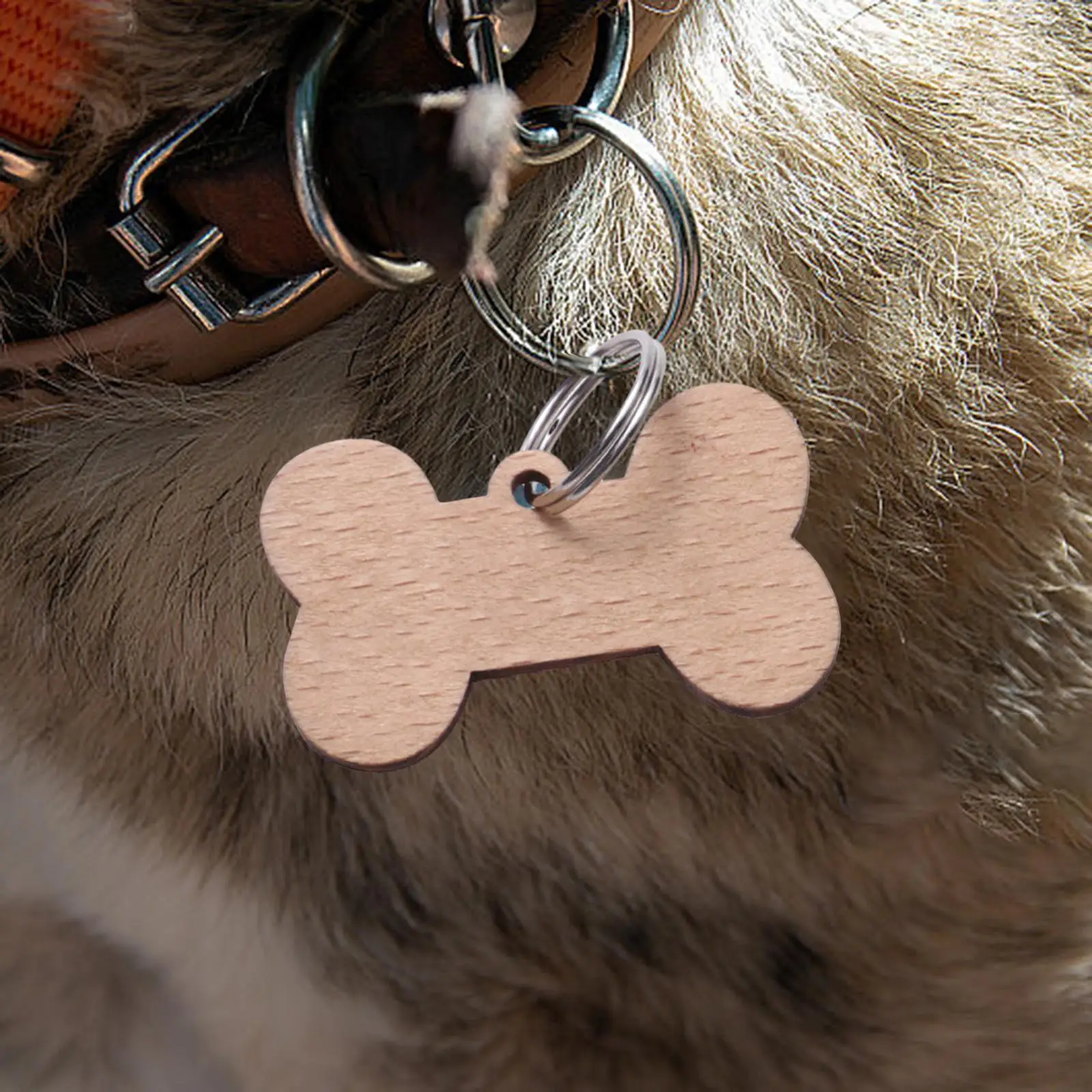 Dog Tag personalizado com número de telefone, Pet Shop, Artesanato inacabado, 6 pcs