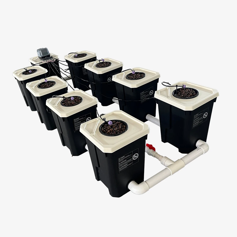 

RDWC 8 Buckets Recirculating Hydroponic System Drip Irrigation air Pump and Cycle Pump Clone Bucket Hydroponic Container