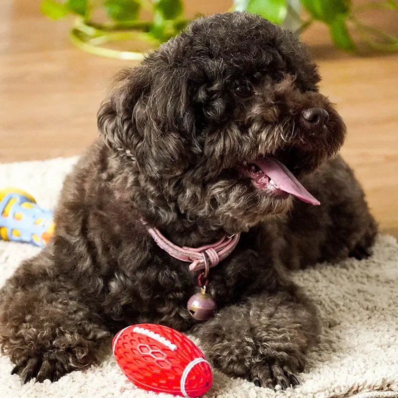 Thumbnail 3 - #13 Trending Squeaky Dog Toys Right Now