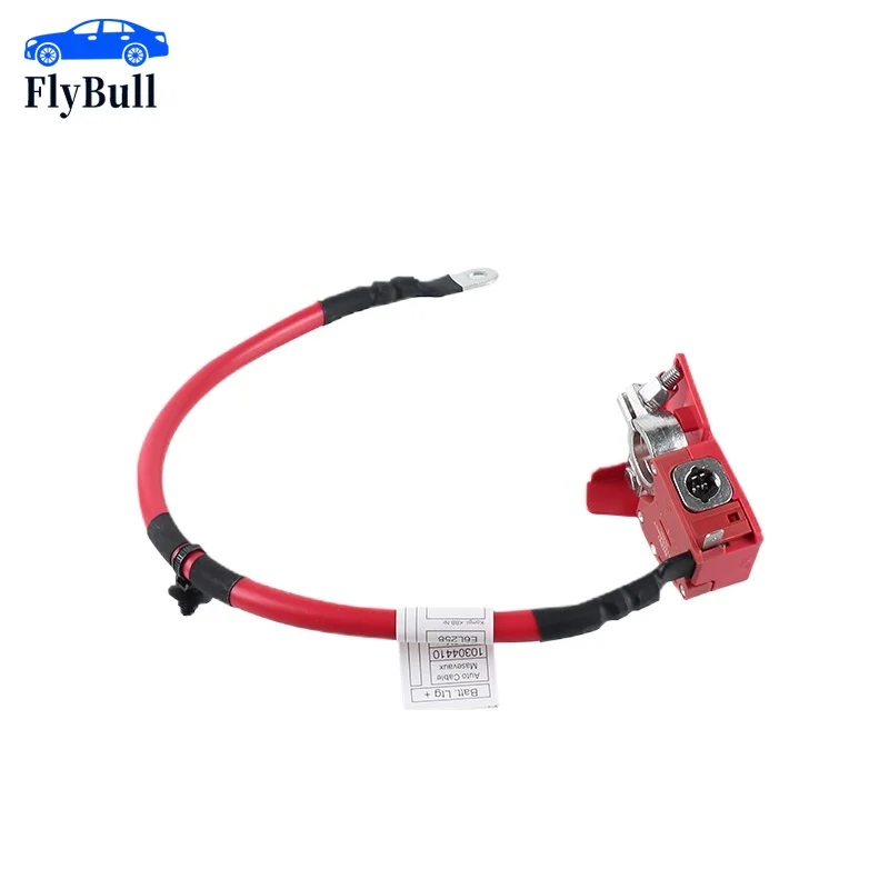 

1PCS Hybrid Battery Cable 61128796155 For Hybrid BMW 3' Series 61128704706 Car Accessories 61128796959 61128707406