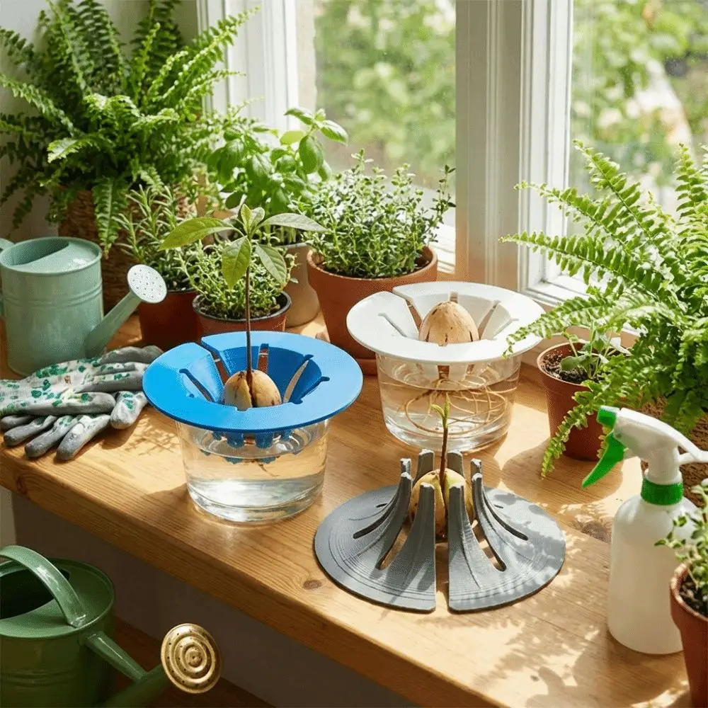 Avocado Seed Water Growing Holder Split Germination Starter Trays Avocado Support Stand Window Plant Tools Home Houseplant Decor
