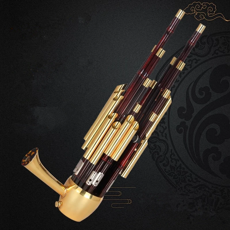 Traditional Chinese Sheng Instrument Flute D Tone, 14 17 21 Reeds Available,With Book and Bag