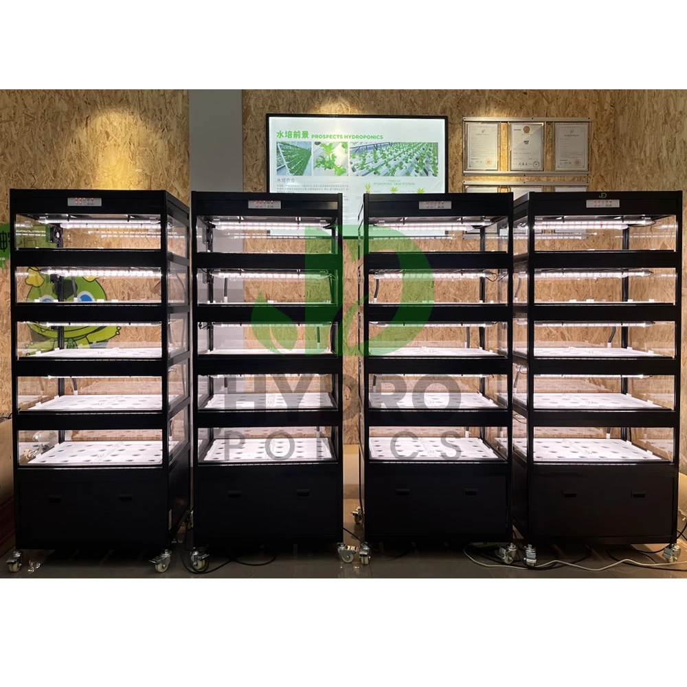 Indoor Automatic Home Garden Aquaponics Irrigation Farming Supply Complete Vertical Hydroponic Cabinet System For Grow Vegetable