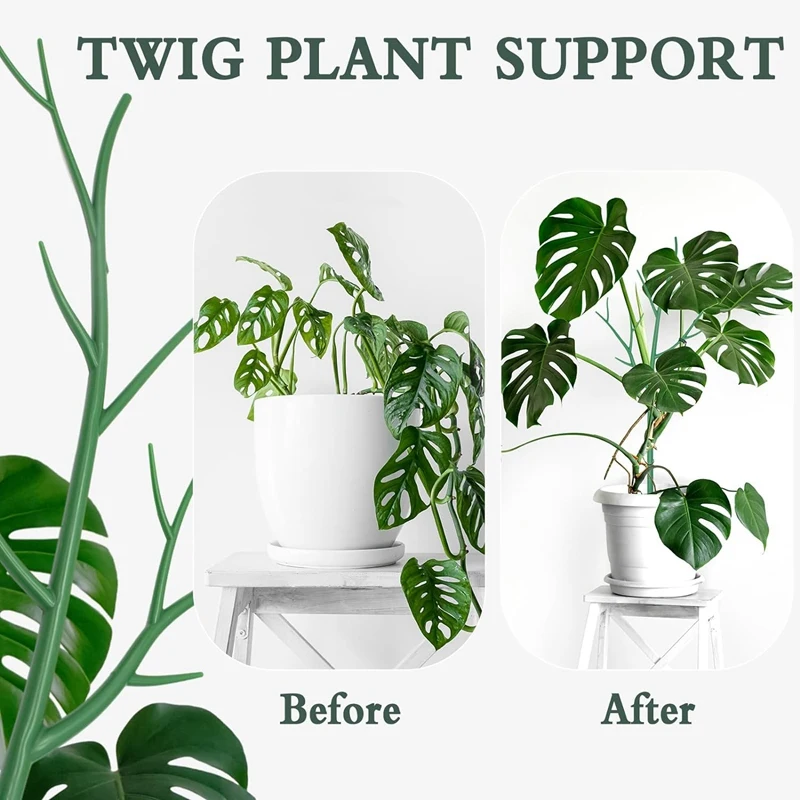 دعم نبات Monstera، أوتاد دعم حديقة النباتات، أعواد نباتية بلاستيكية طويلة لشجرة الطماطم، فروع تدعم 5 قطع