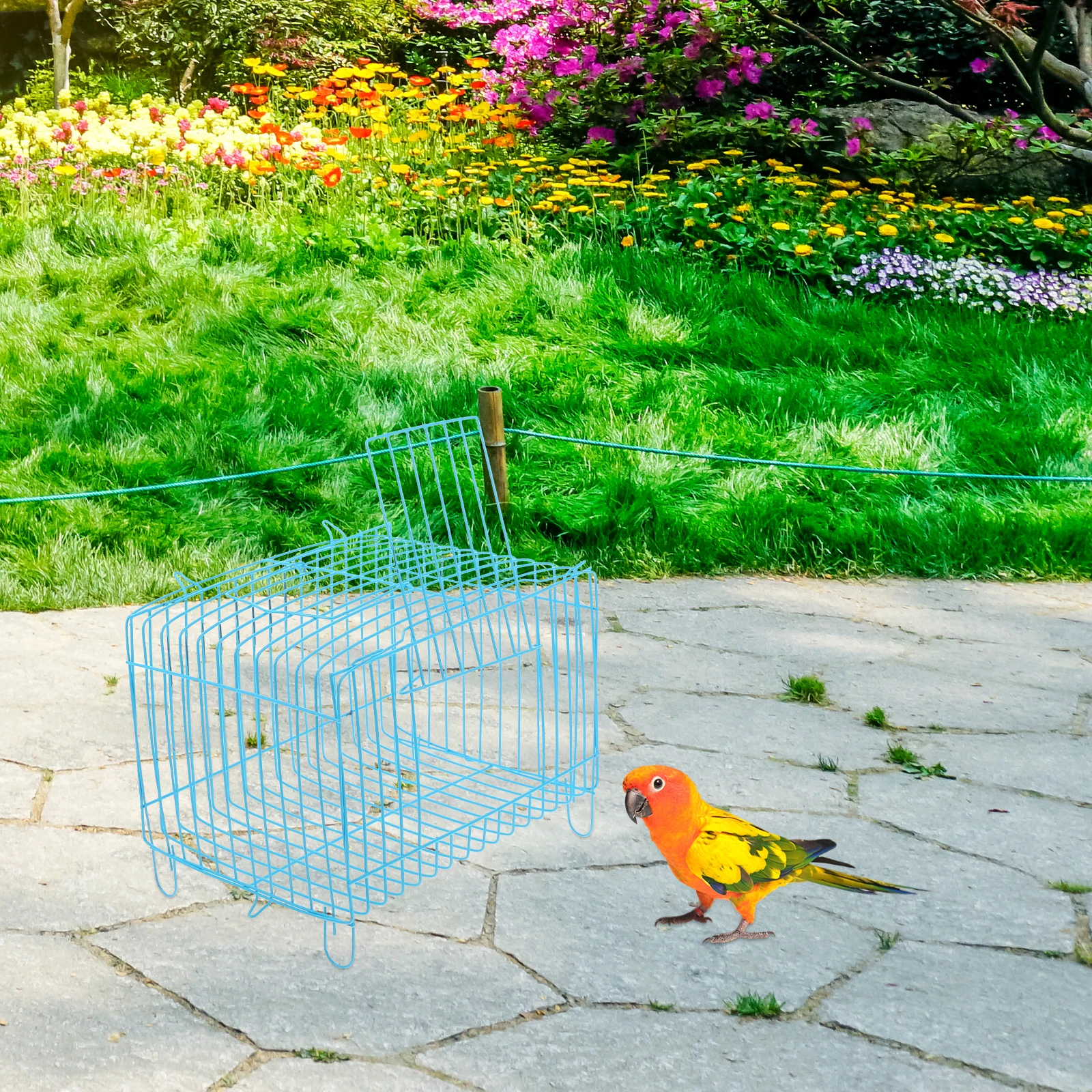 

Portable Parrot Travel Carrier Small Wire Structure Lightweight Wear Resistant Handheld Outdoor Hiking Outing Use Pet Bird