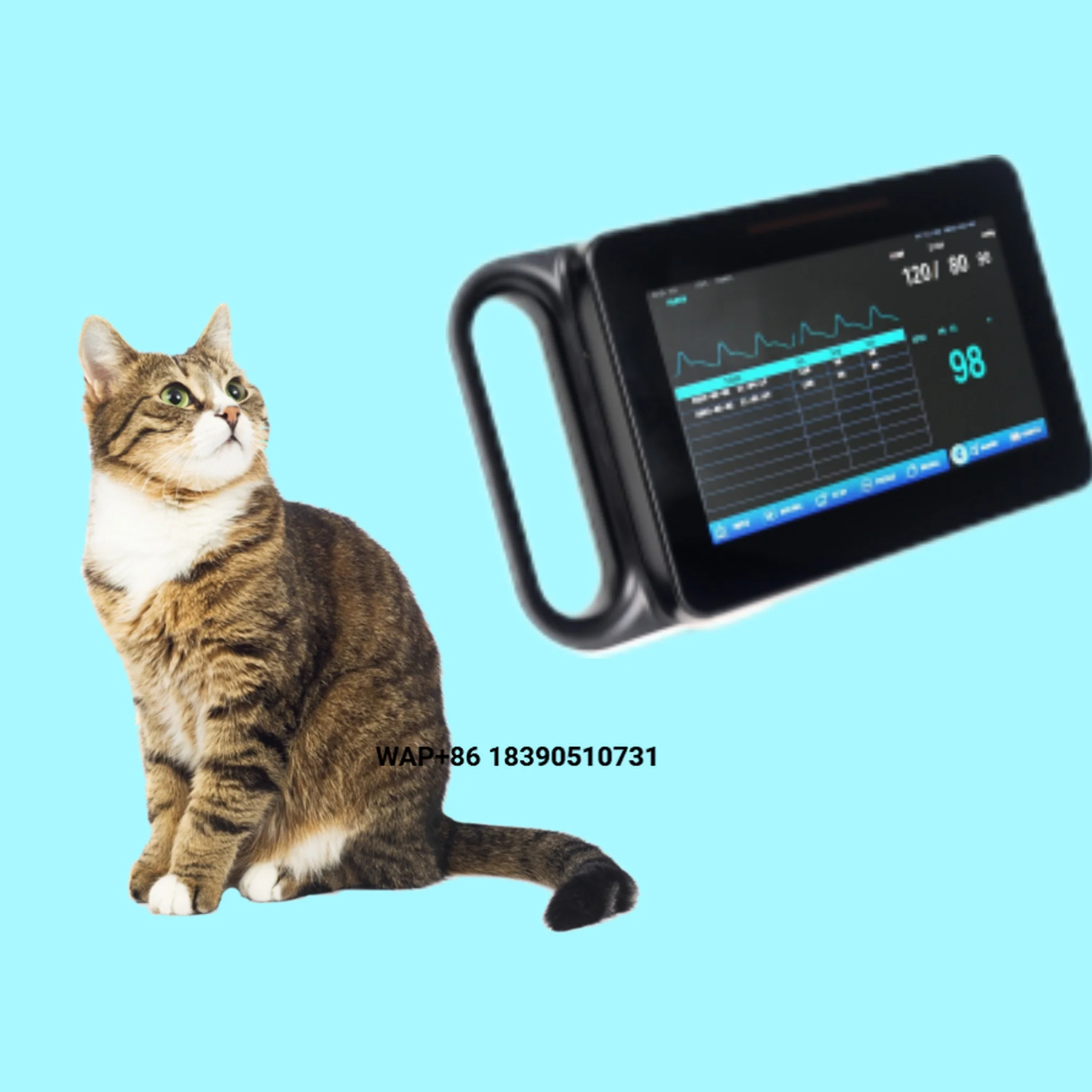 Animal Hospital Doctors - Monitoring Instruments Using Veterinary Diagnostic Equipment