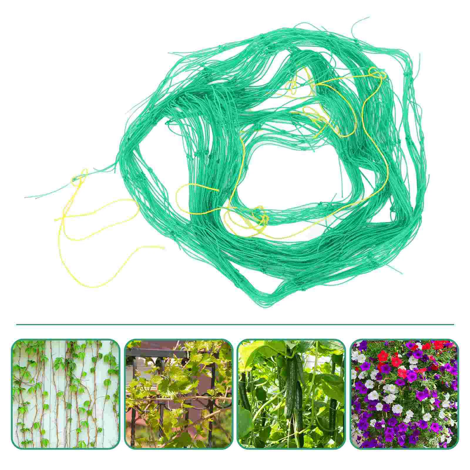 

Morning Glory Vine Net Arch for Gardening Climbing Vines Flowers Trellis Plants Beef Netting Green