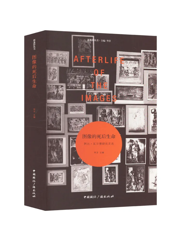 

Book-Winshare The Afterlife Of Images Selected Works Of Abby Valborg Research