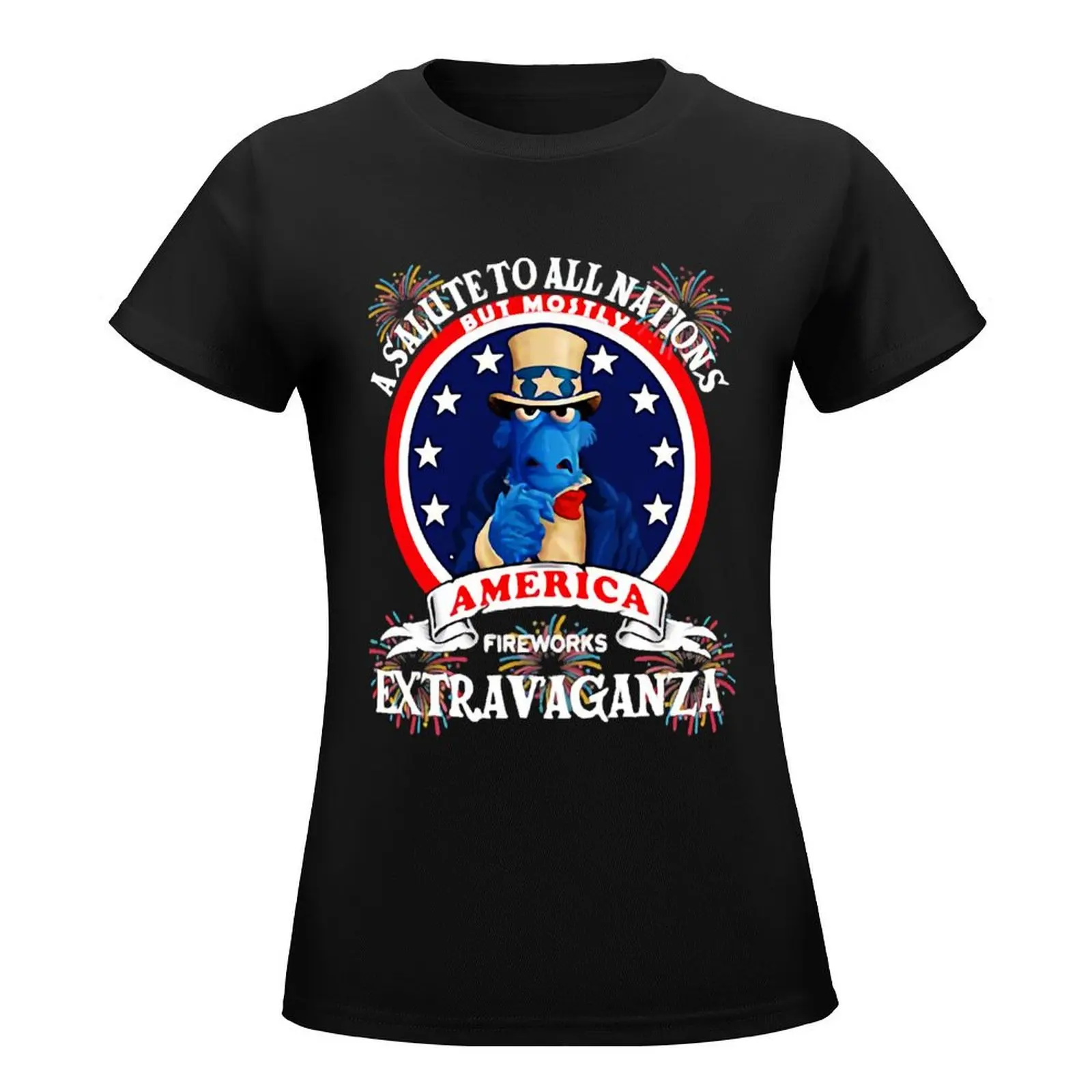 A Salute to All Nations But Mostly America Fireworks Extravaganza Classic T-Shirt sublime blacks new edition t shirts for Women