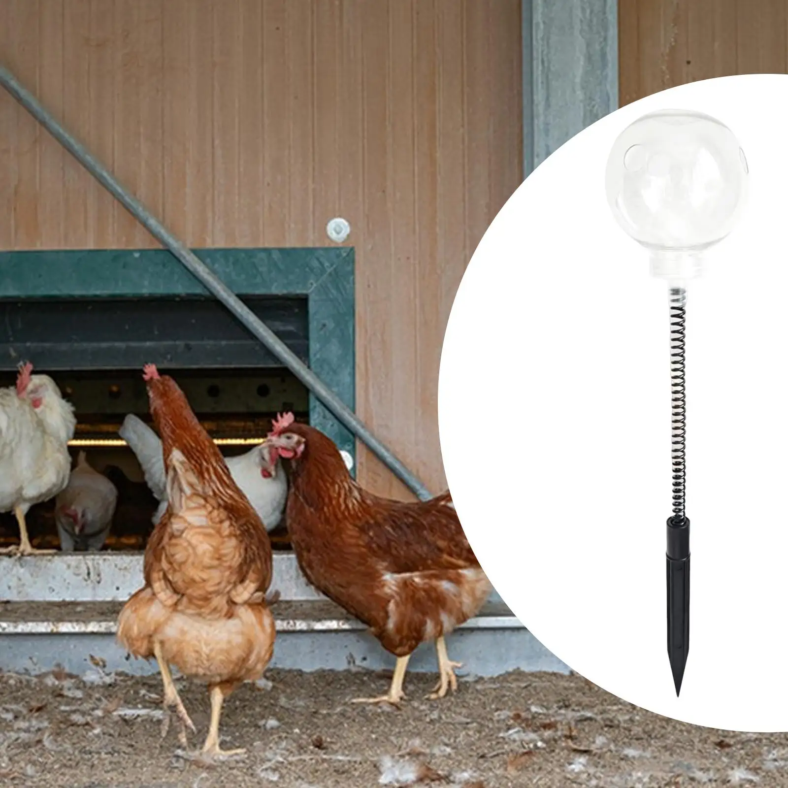 Peck Toy Slow Feeder 40cm Tall Feeding Container for Chick Duck Parrots