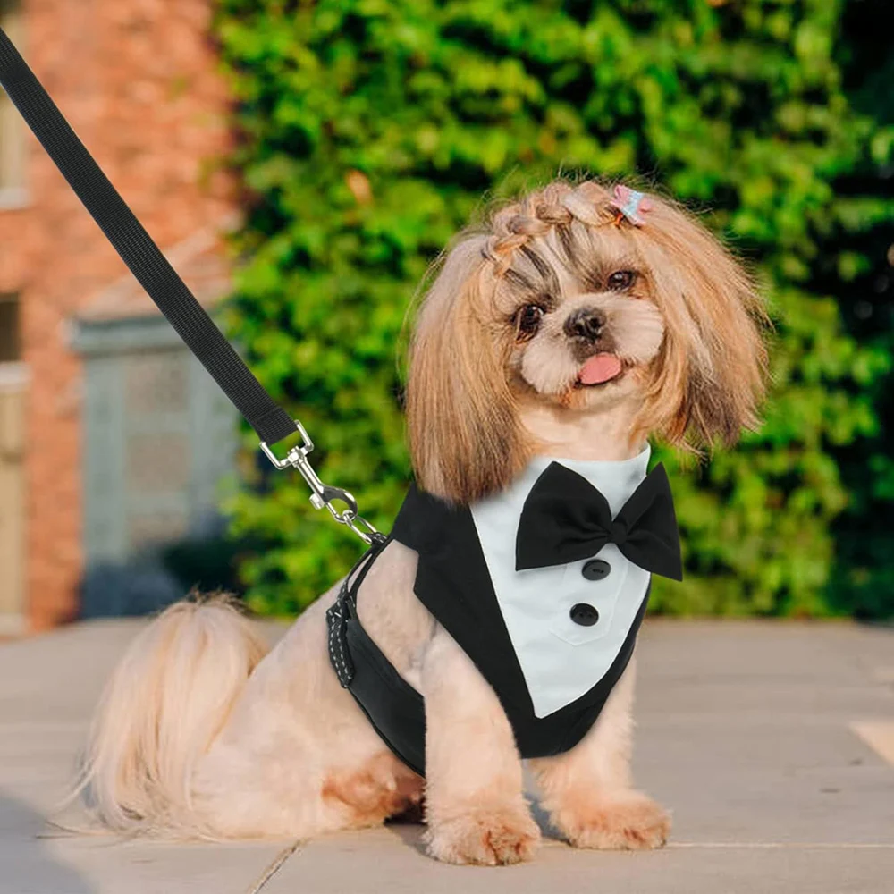 Arnés esmoquin formal perros pequeños y medianos – Bodas, cumpleaños - imagen 5