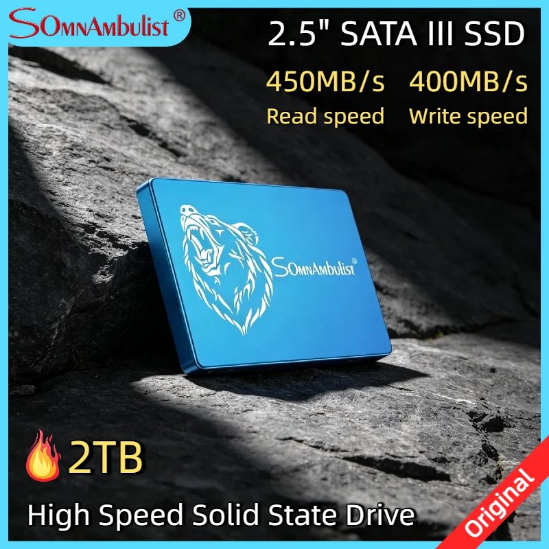 

SomnAmbulist 1TB 2.5 Inch SATA Interface SSD Large Capacity Solid State Drive for Laptop Desktop High Speed Internal Storage