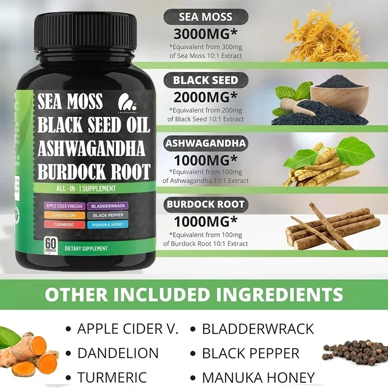 Seaweed Black Seed Oil, Containing Turmeric, Bladder Burdock Root, Advanced Integrated Supplement, 60 Capsules