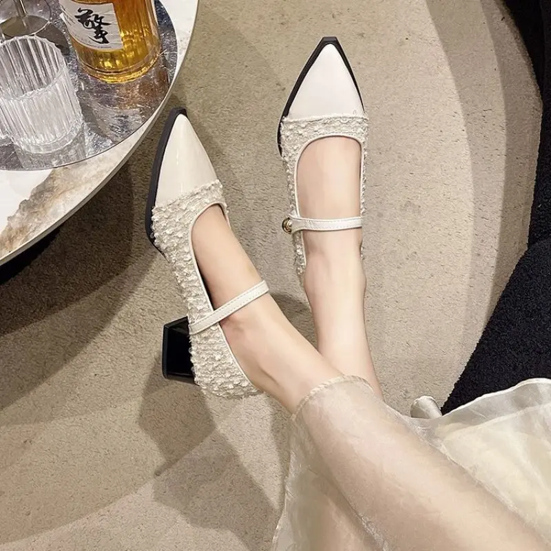 2024 New Designer Spring and Fall Women Mary Jane Shoes Ladies Fashion Pointed Toe Thick Heel Women's Comfort Office Pumps Shoes
