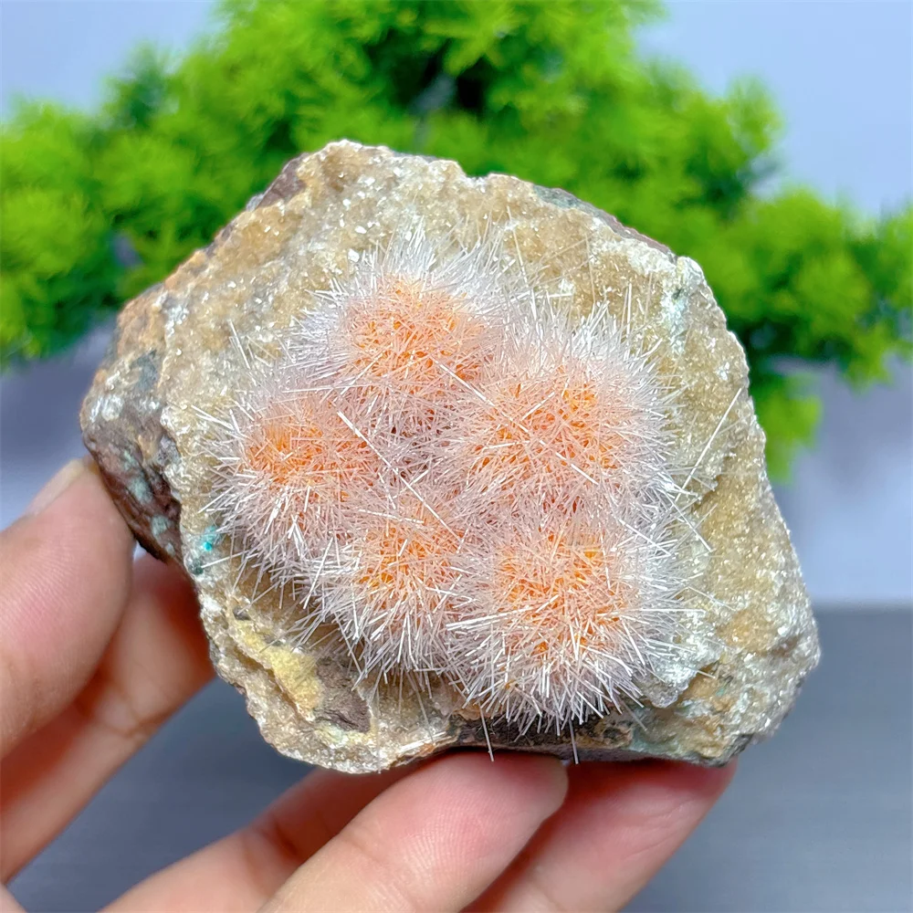 Dandelion Stone Flower Raw Specimen Natural Crystal Lucky Quartz Stone Garden Reiki Gifts Healing Energy Love Home Decoritem