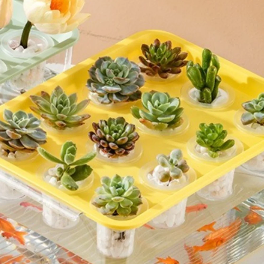 Transparent Hydroponic Grow Fish Tank Soilless Cultivation Healthy Environment Planting Container Self-Cleaning