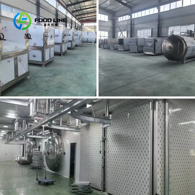 Customized size Chinese supplier Vacuum freeze dryer
