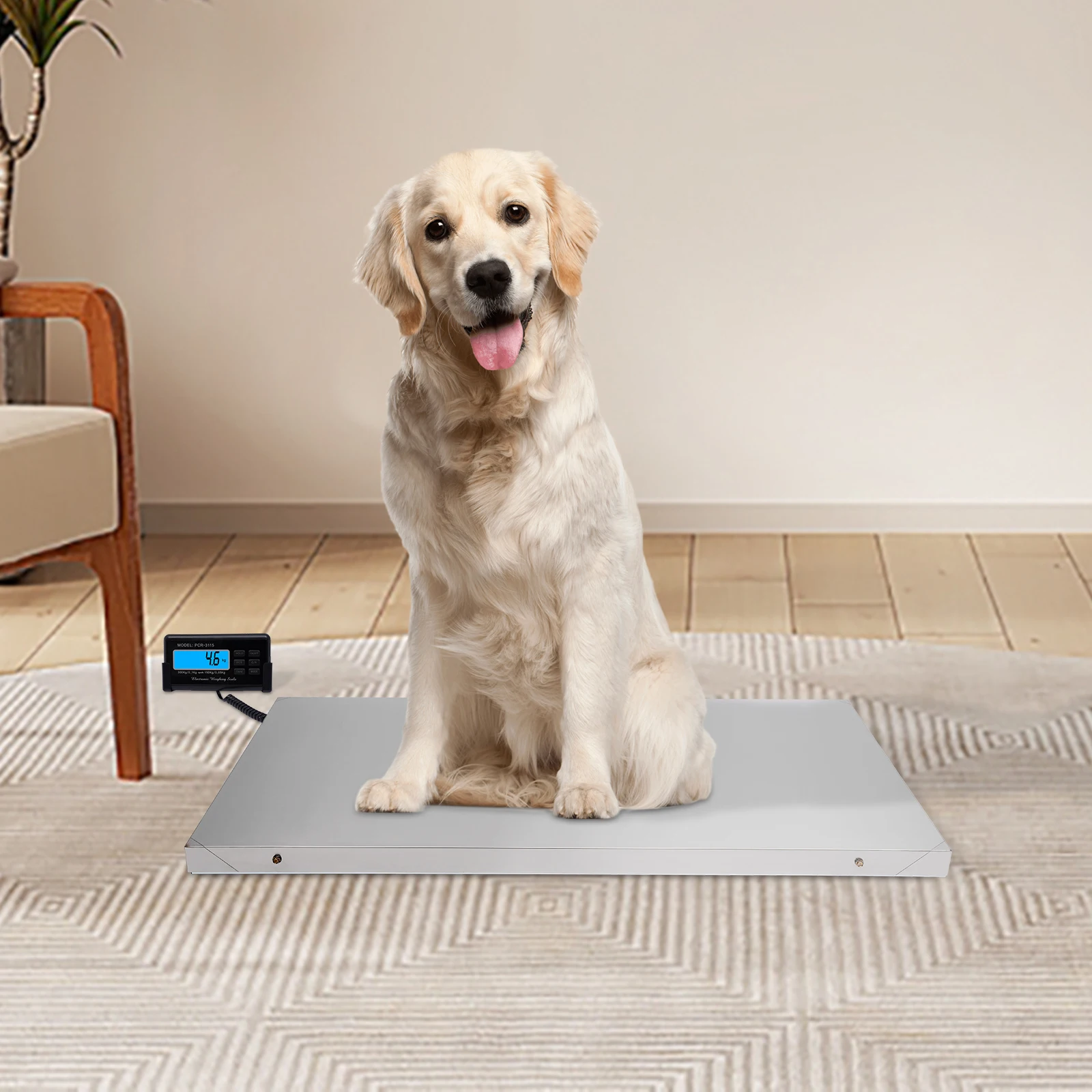 Stainless Steel Large Pet Weight Weighing 300kg Grazing Electronic Table Scale ﻿