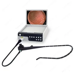 Factory Price Medical Disposable Flexible Video Gastroscope Single-Use Digital Gastroscopy Imaging System For human or Vet