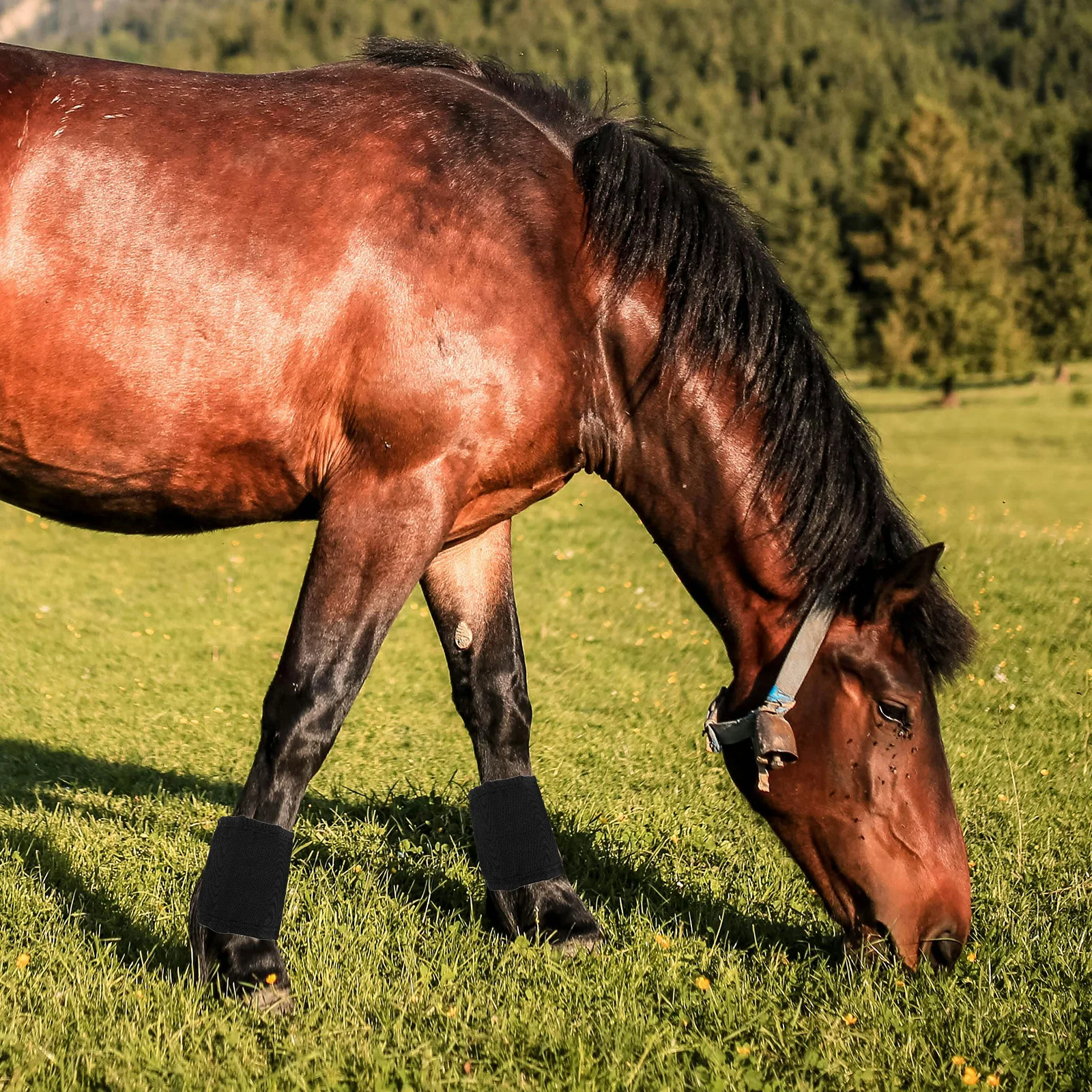 2 قطعة أحذية الساق يطير واقية يلتف تنفس دائم خفيفة الوزن امتصاص الصدمات جرس الأحذية لوازم رعاية الحصان #6