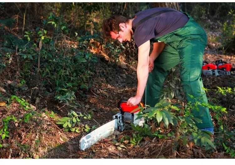 

Gold Seller NT10500 Unique New Design Vibration Chainsaw 070