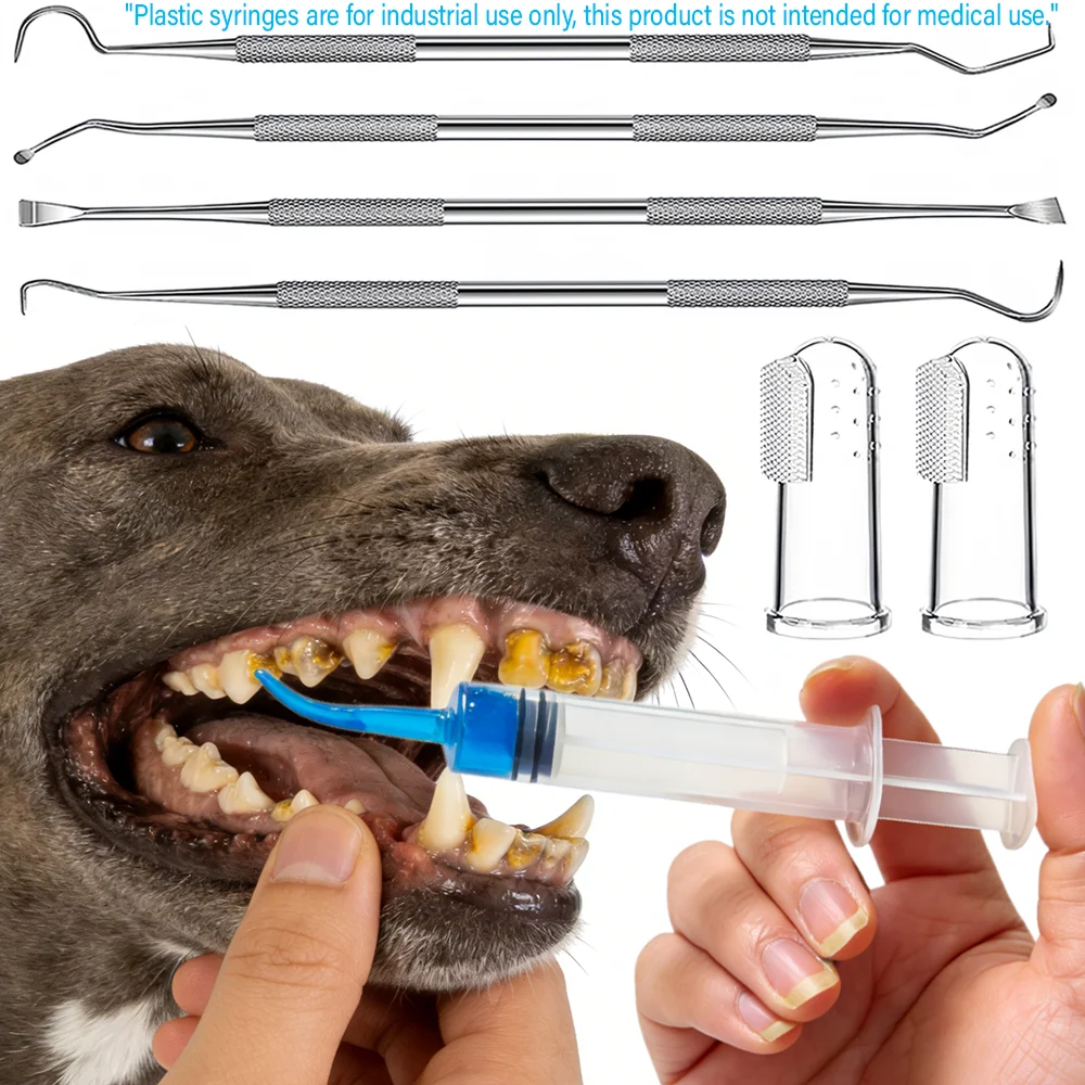 Pet Dog Dental Cleaning Tool Set, Stainless Steel Tartar Remover Toothpick, Tartar Scraper, Curved Needle Cleaner, Finger Sleeve Silicone Brush, Cat and Dog Oral Care Hygiene Kit