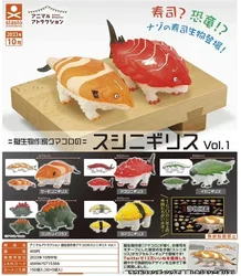 Stasto Stand Stone Original Gashapon Kawaii Cute Anime Biowriter Sushi Shark Model Figure Gachapon Capsule Toys Gift