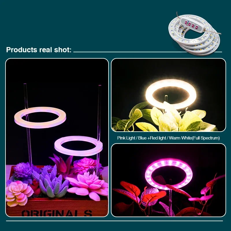 Imagem -04 - Led Anjo Anel Crescer Luzes Espectro Completo Lâmpada para Plantas Flores Mudas Estufa Usb Phytolamp Interior Luz de Crescimento dc 5v