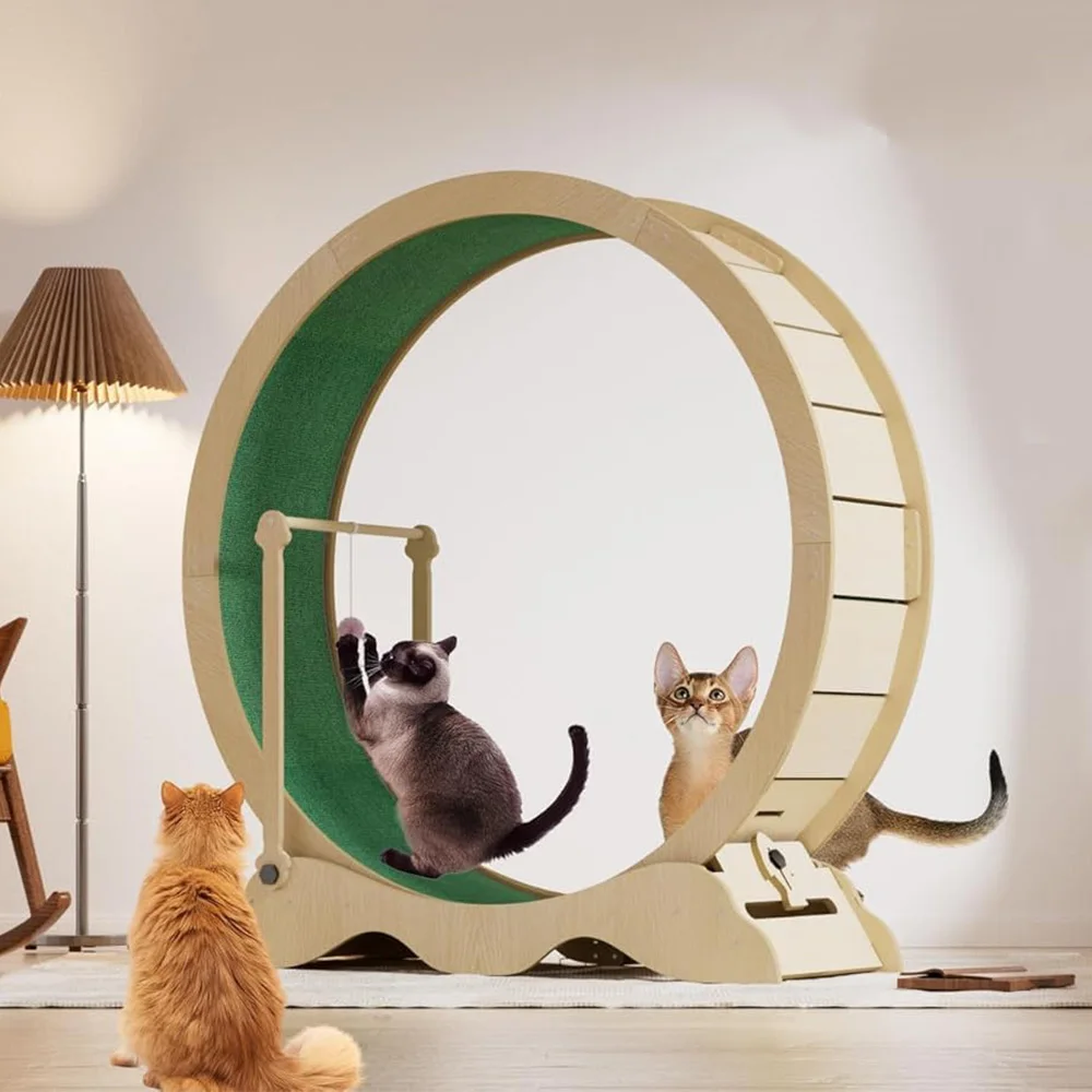 48" Large Cat Exerc…