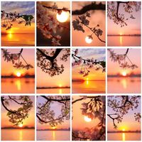 CHENISTORY Oil Painting By Numbers Sunset Kits For Adults Handpainted DIY Coloring By Number Lake Landscape Home Decoration