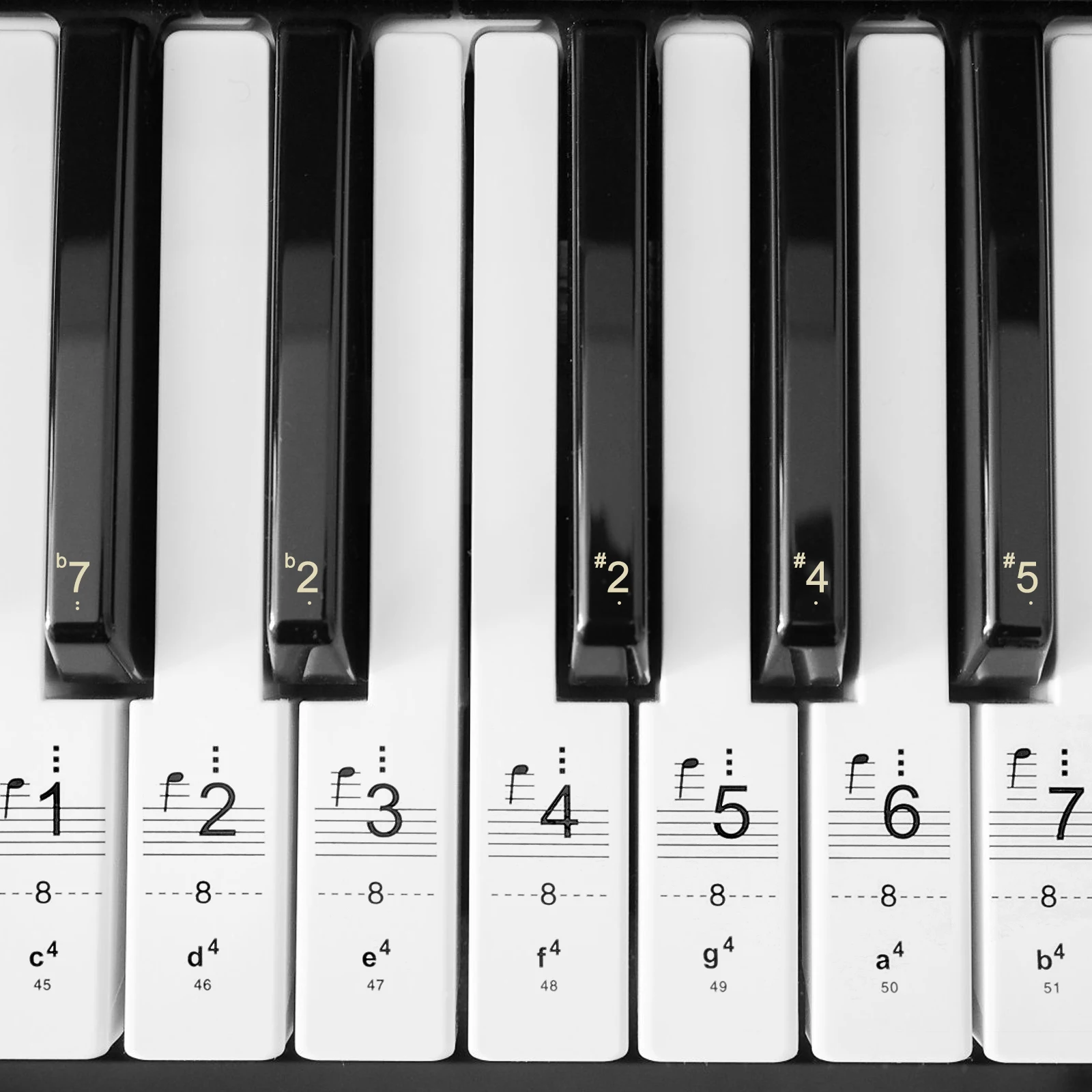 

Piano Keyboard Stickers Decals Beginners White Durable Practical Child Letter Easy Install Remove No Residue Gift Accessories