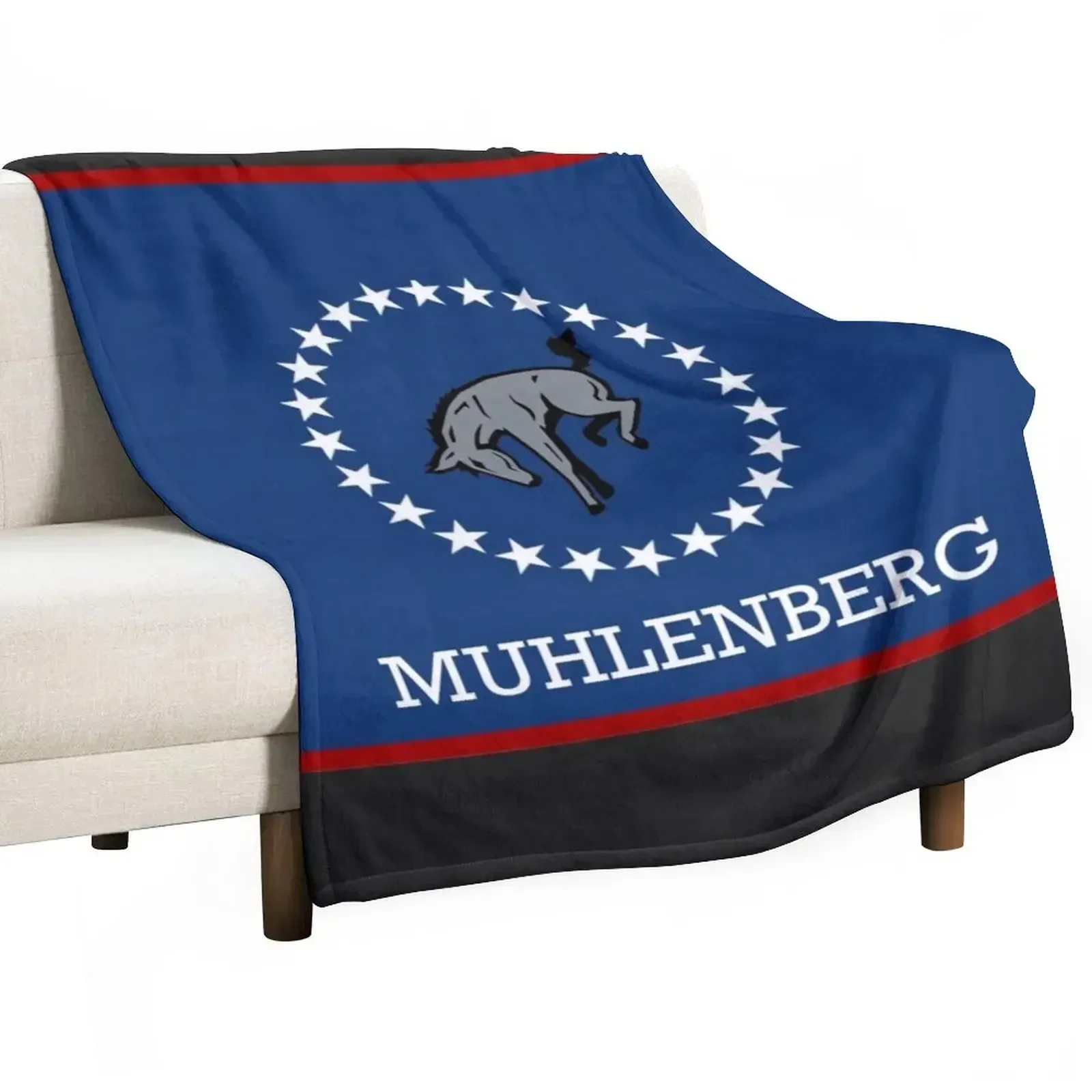 

Barstool Muhlenberg Throw Blanket Decorative Beds warm winter Thin Cute Blankets