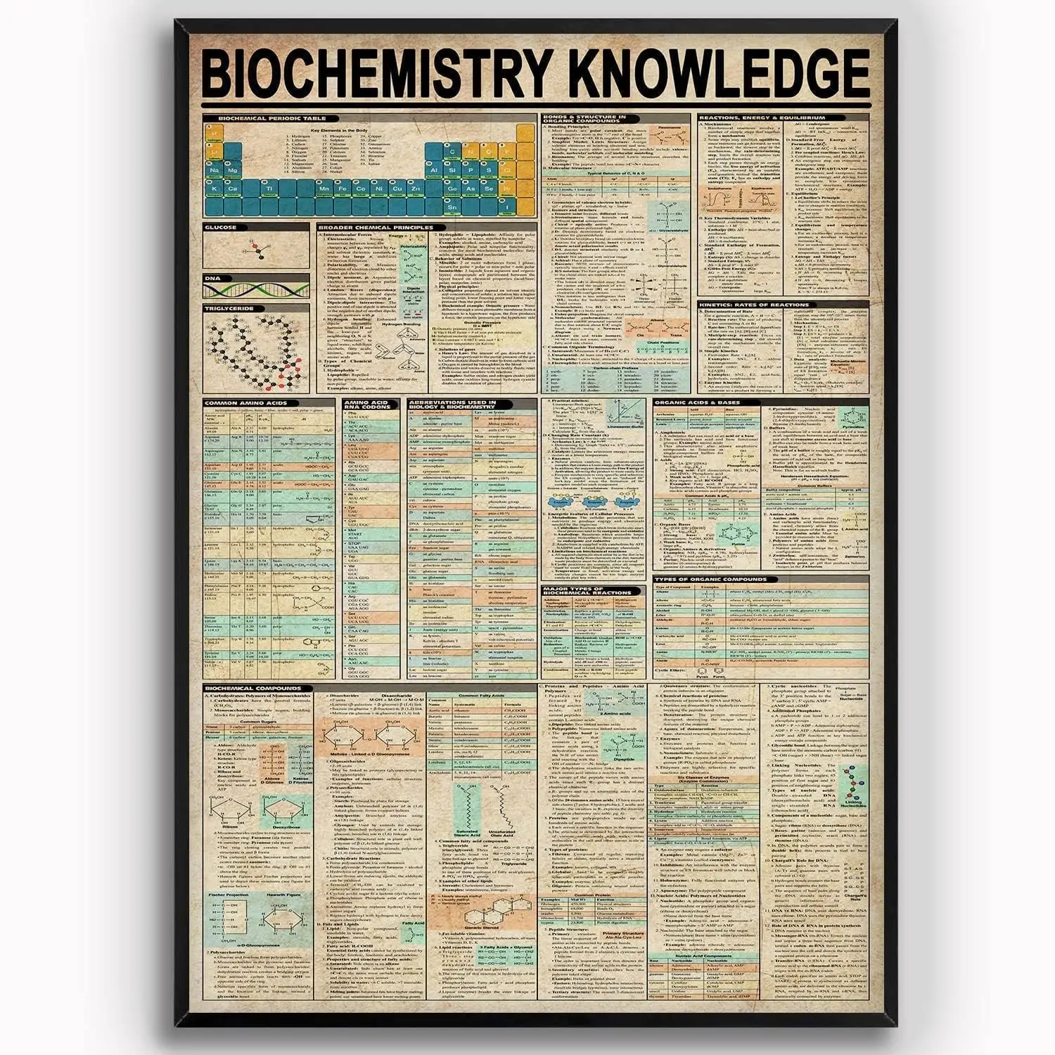 ESETASOT Biochemistry Knowledge Retro Metal Signs Wall Decor Aluminium Sign Biochemistry Infographic Teaching Poster Teache sign